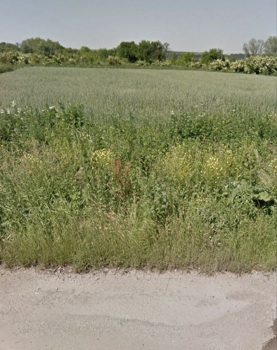 Продаж  земельноі ділянки с. Стриганці вздовж дороги