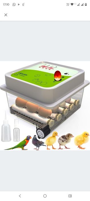 Inkubator do Jaj Automatyczny Wylęgarka Okköbi 12 dla Kur, Kaczek itp