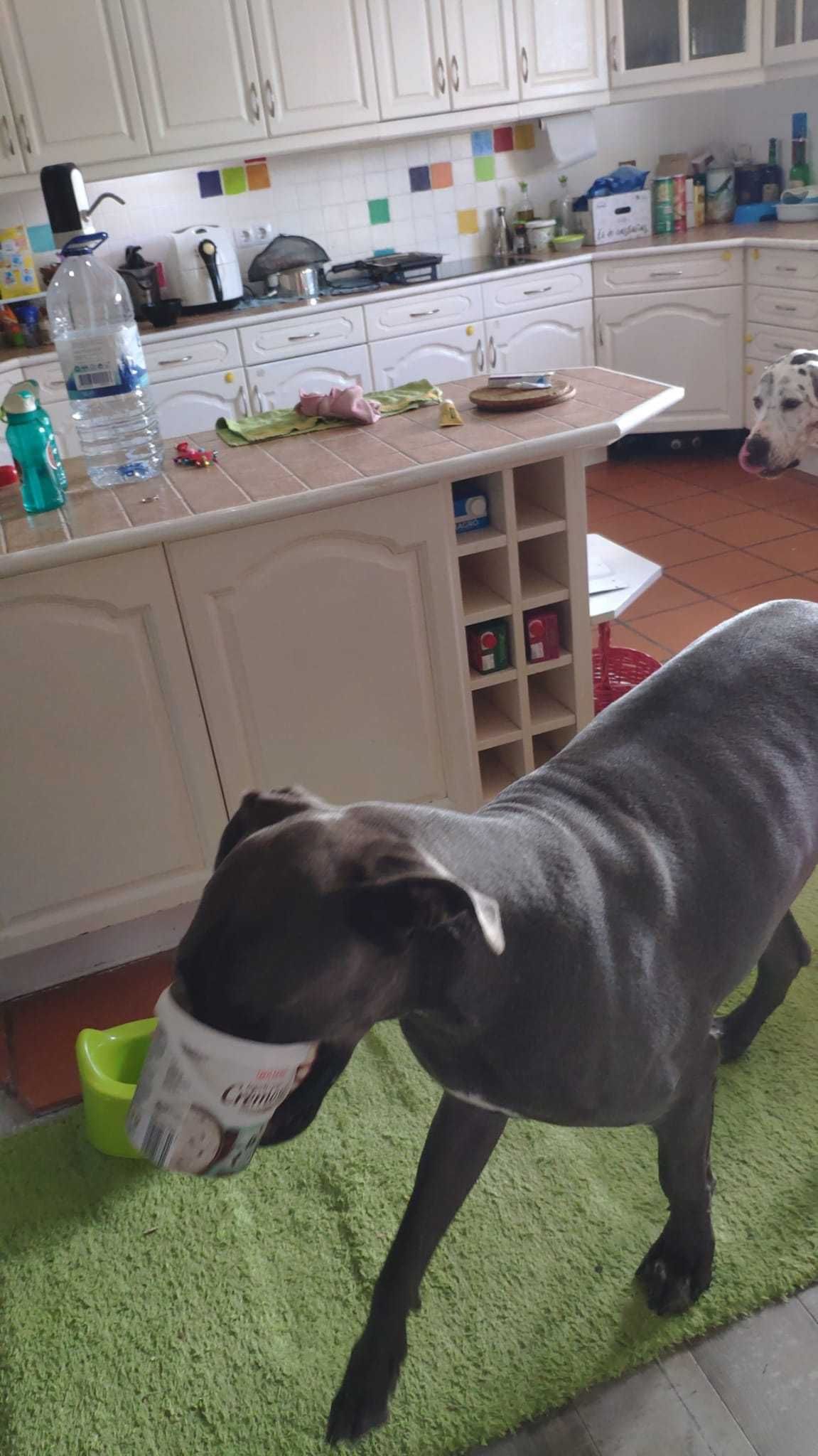 Móveis de cozinha