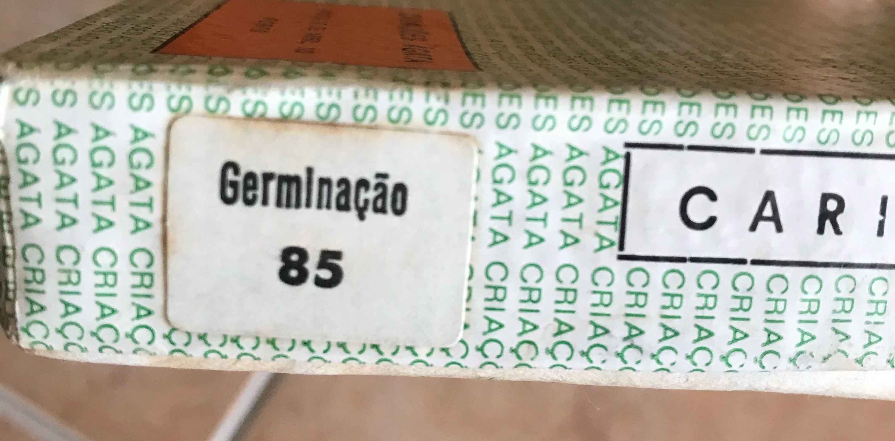 Carimbos Tipografia alfabetos Agata Outono e Germinação