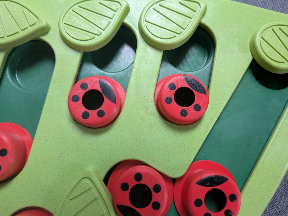 Nina Ottosson buggin'out poziom 2 łamigłówka dla kota