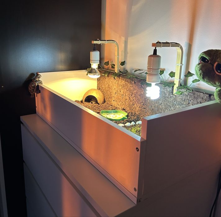 Terarium dla żółwia lądowego