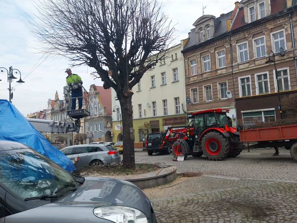 Ogrody, montaż ogrodzeń