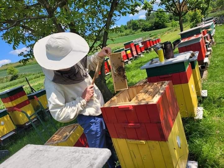 Naturalny miód prosto z Pasieki