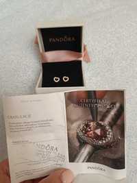 Pandora сережки гвоздики