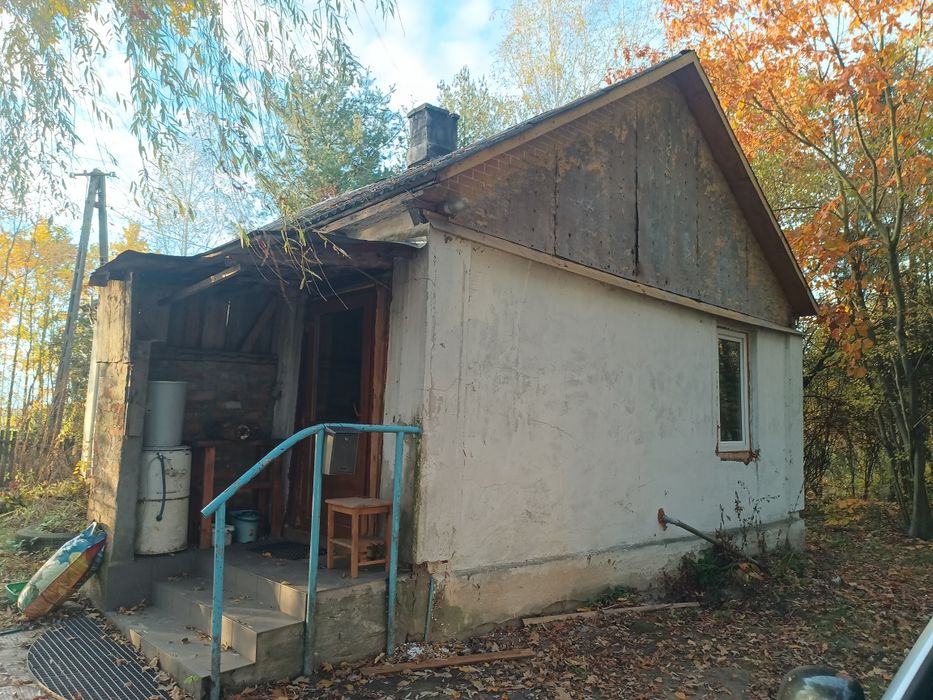 wynajmę dom z podwórkiem LAS ustronne miejsce siedlisko