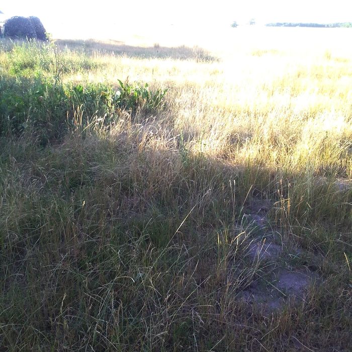 Продається 30 соток під забуд с.Нуйно