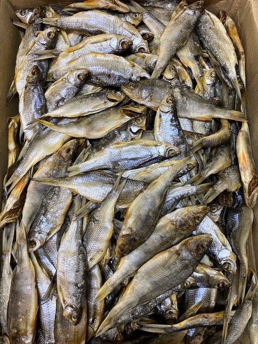 Прилов (тарань+окунь+уклейка).Тарань. Окунь. Уклейка.