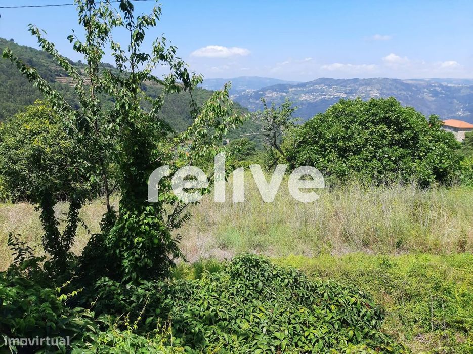 Quinta dos Poços com 2 hectares e ruina para Venda em Resende, Viseu