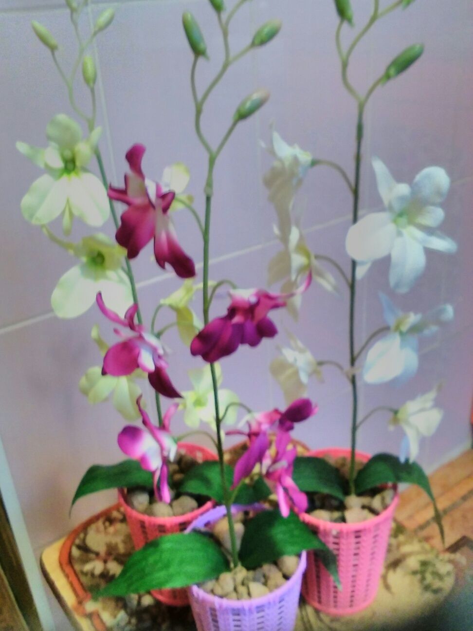 Продам искусственые орхидеи