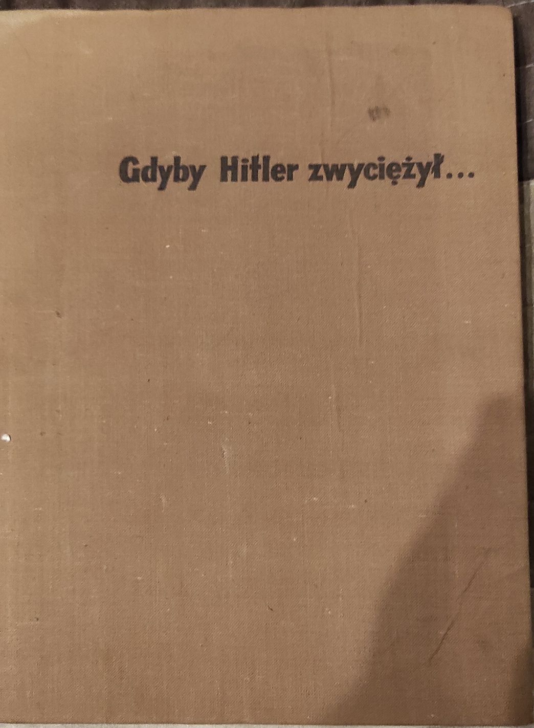 Gdyby Hitler zwyciężył T. Kułakowski