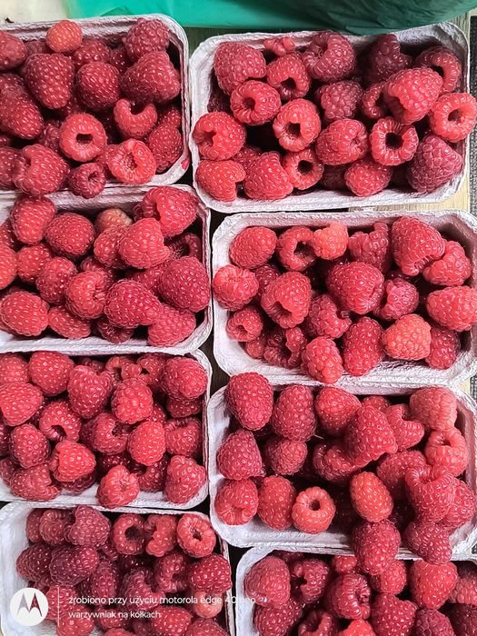 Słodkie,duże maliny