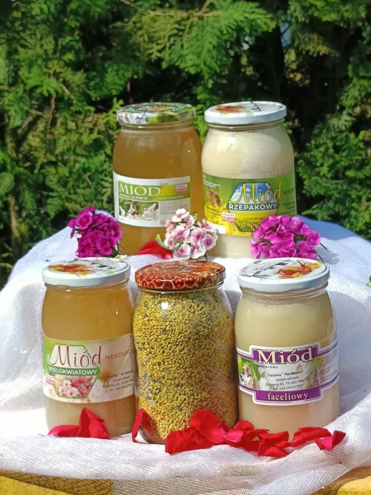 Miod nektarowy Rzepakowy