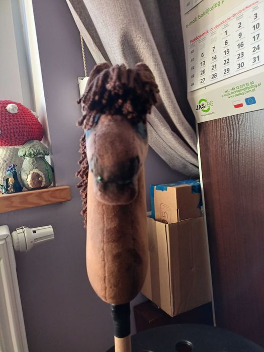 Hobby horse Rdn golony
