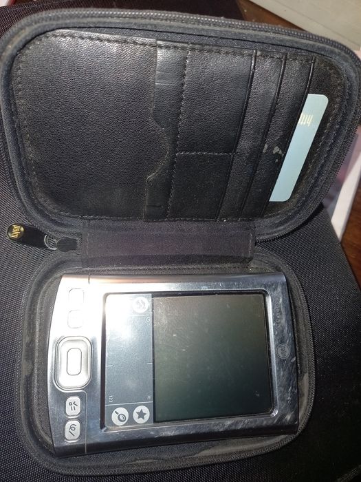 Vintage Palm Tungsténio E