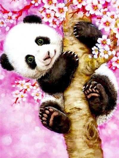 Haft diamentowy Diamond Painting mozaika 5d PANDA 30x40 cm