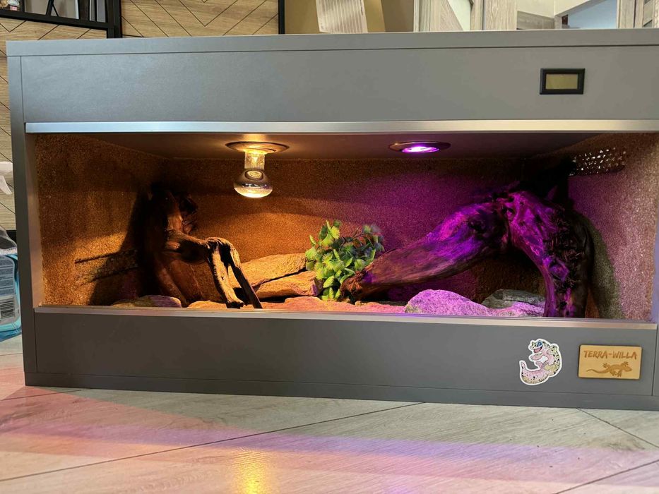 Sprzedam piekne terrarium dla jaszczurki
