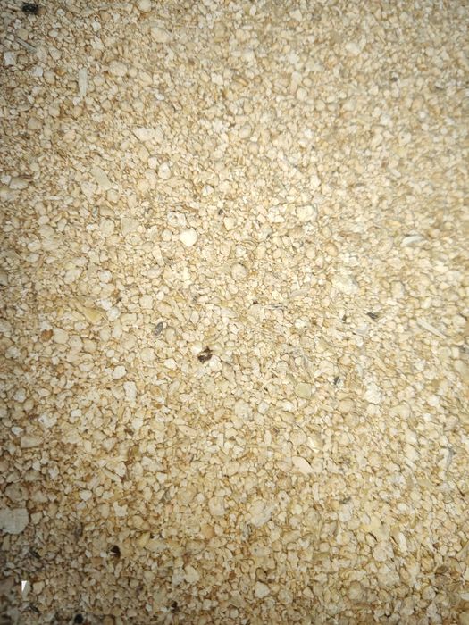 DDGS Kukurydziany, Śruta Sojowa, Śruta Rzepakowa