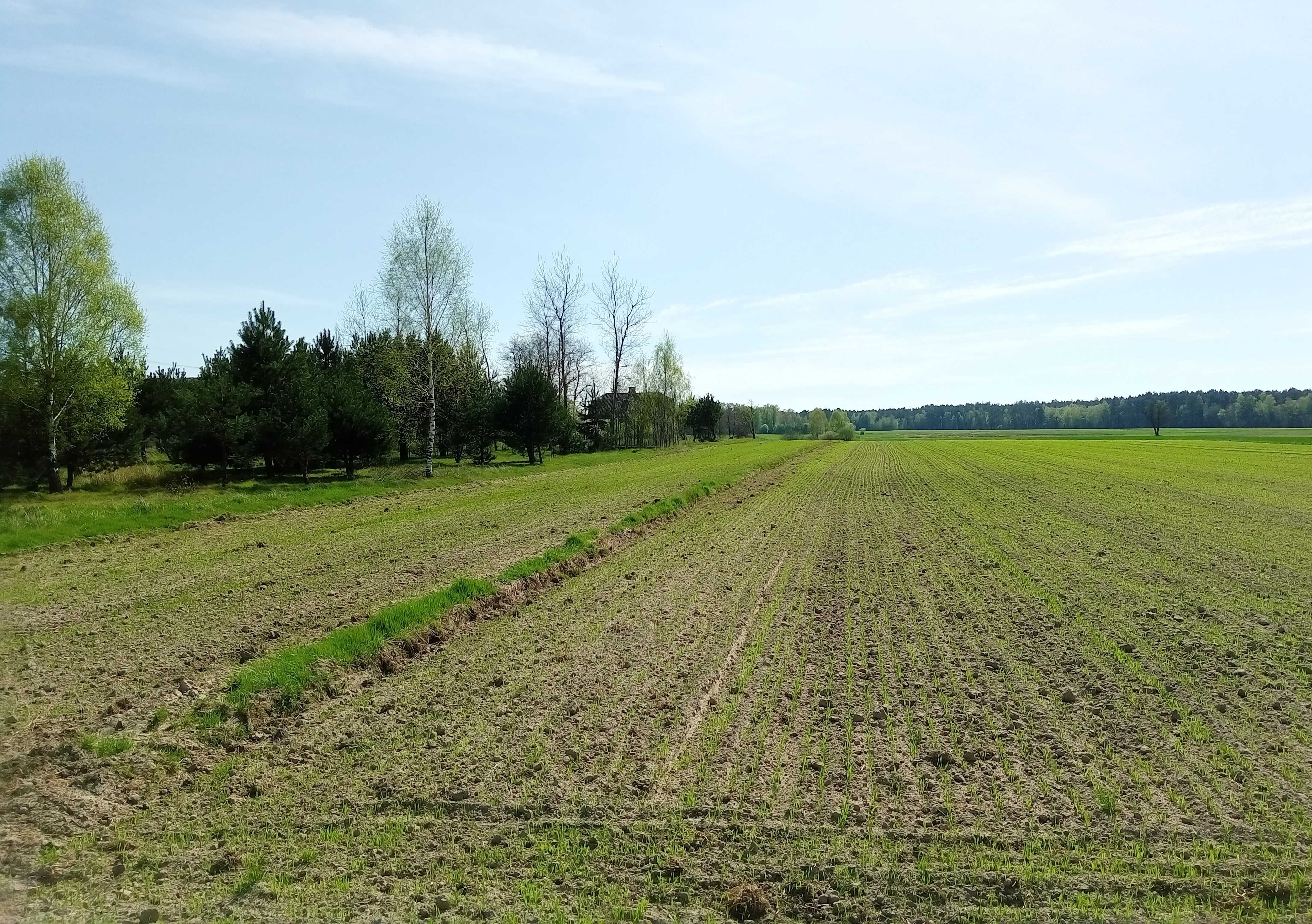 Działka siedliskowa