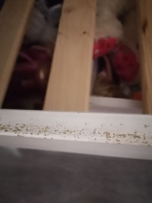 Łóżko piętrowe domek