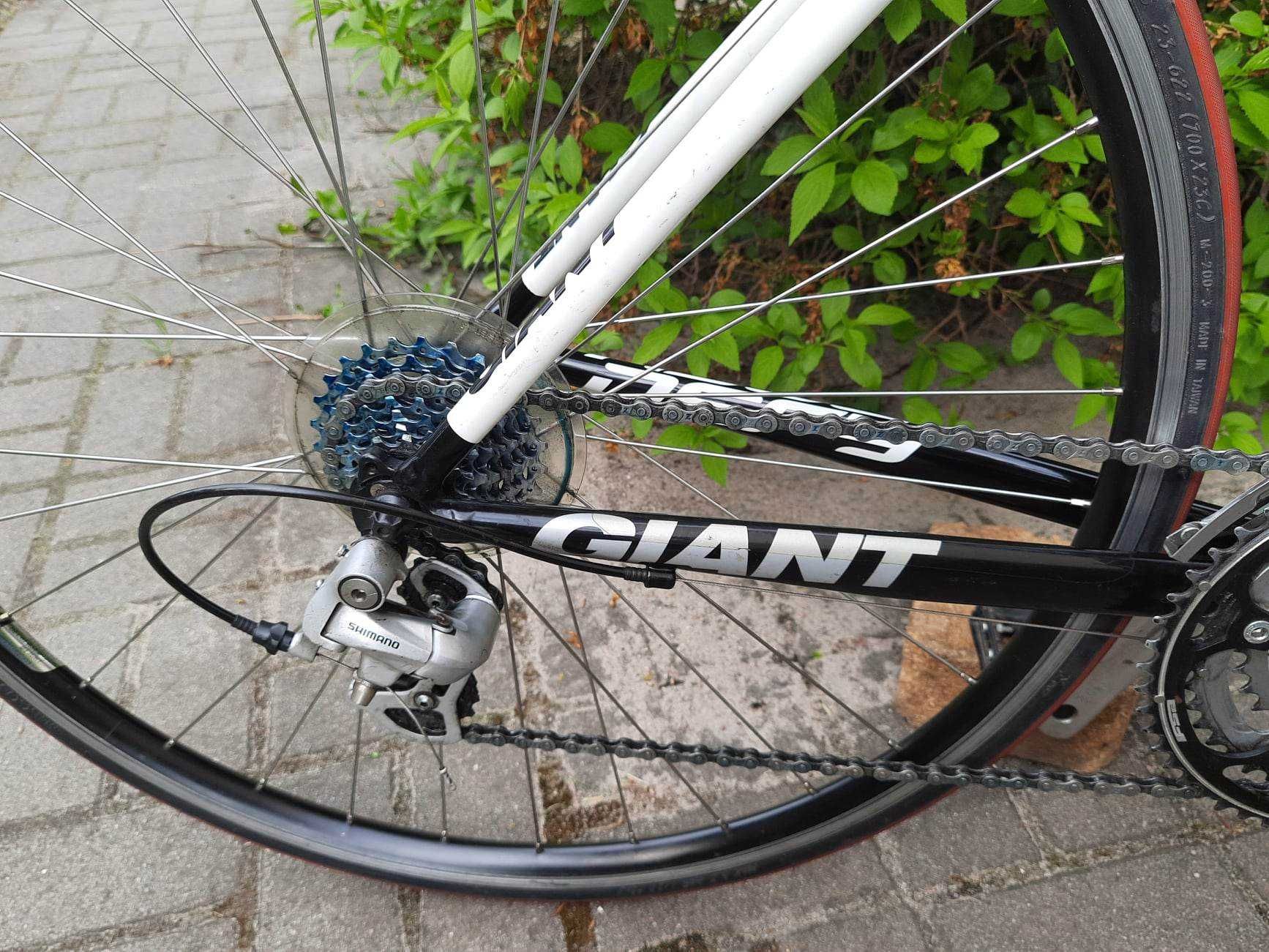 Giant defy, szosowy rower, używany, w dobrym stanie, sprzedam.