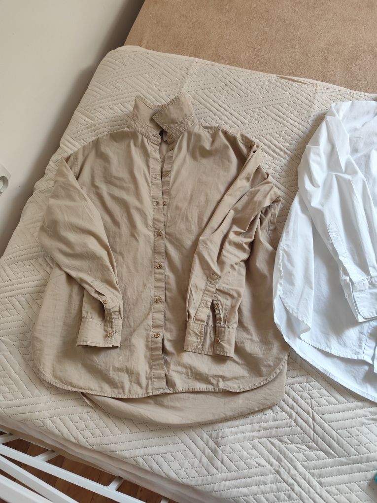 Mega paka koszule Reserved bawełna h&M 34/36
