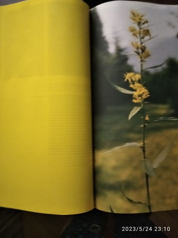 Книга Цветовой атлас растений 1990