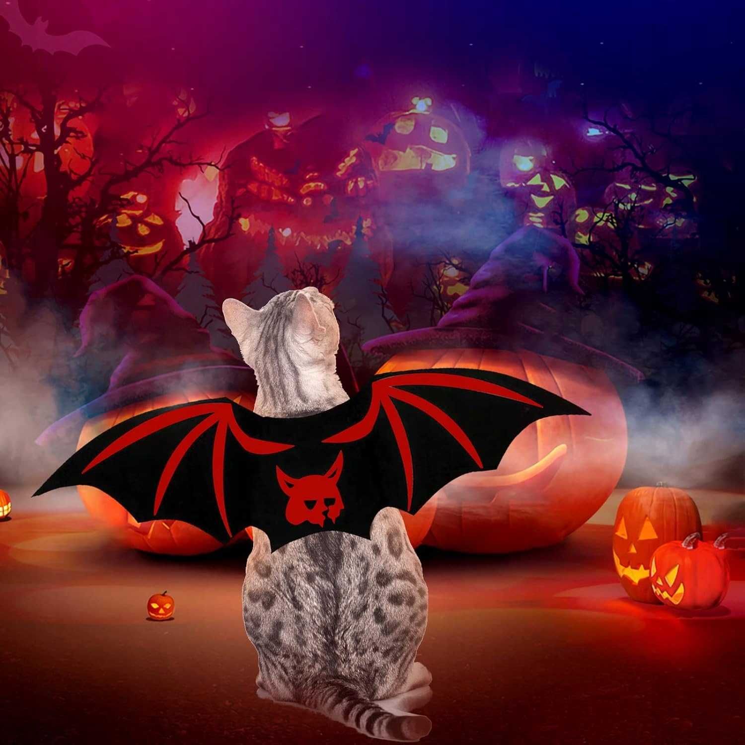 Kostium na Halloween dla kota lub psa, skrzydła czerwone nietoperz