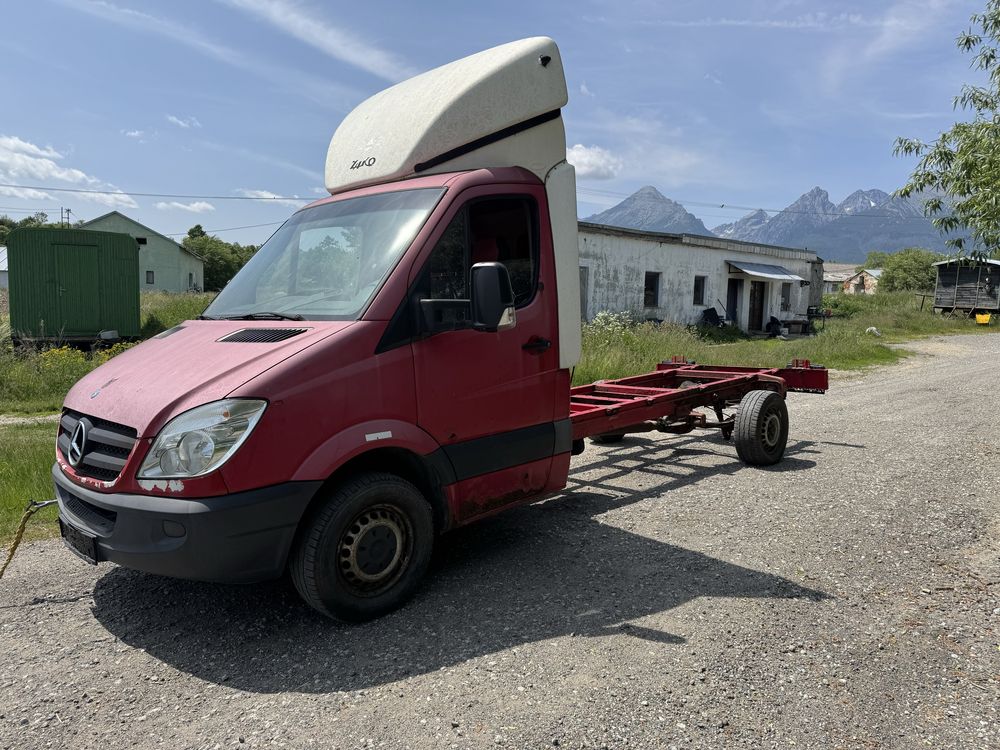 Sprinter