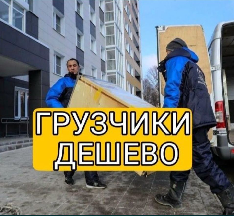 Грузчики, Грузоперевозки