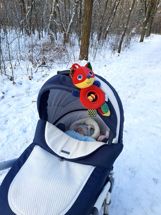 Wózek Adamex Barletta 2w1