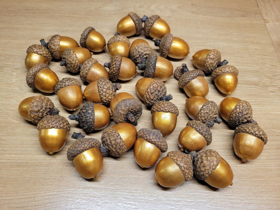 artykuły plastyczne dla dziecka do szkoły szyszki żołędzie