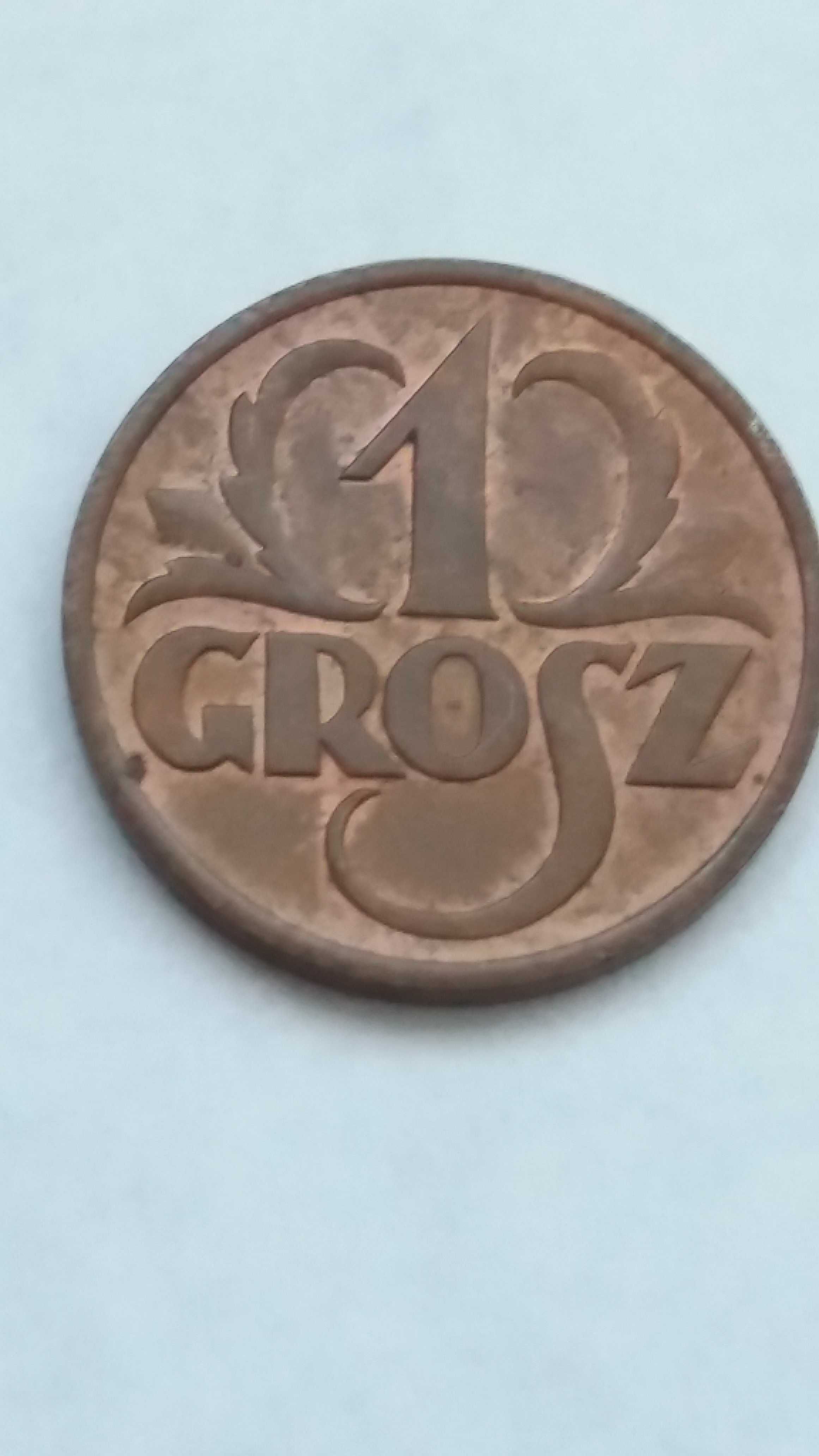 il, M456,1 gr grosz 1939 starocie wyprzedaż