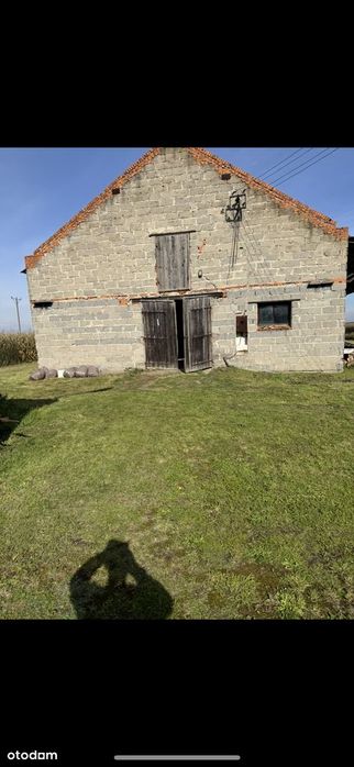 Do wynajęcia hala z częścią stajenną – Piekary, Dolnośląskie