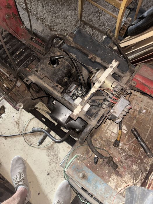 Муравей Тула в хорошем состоянии