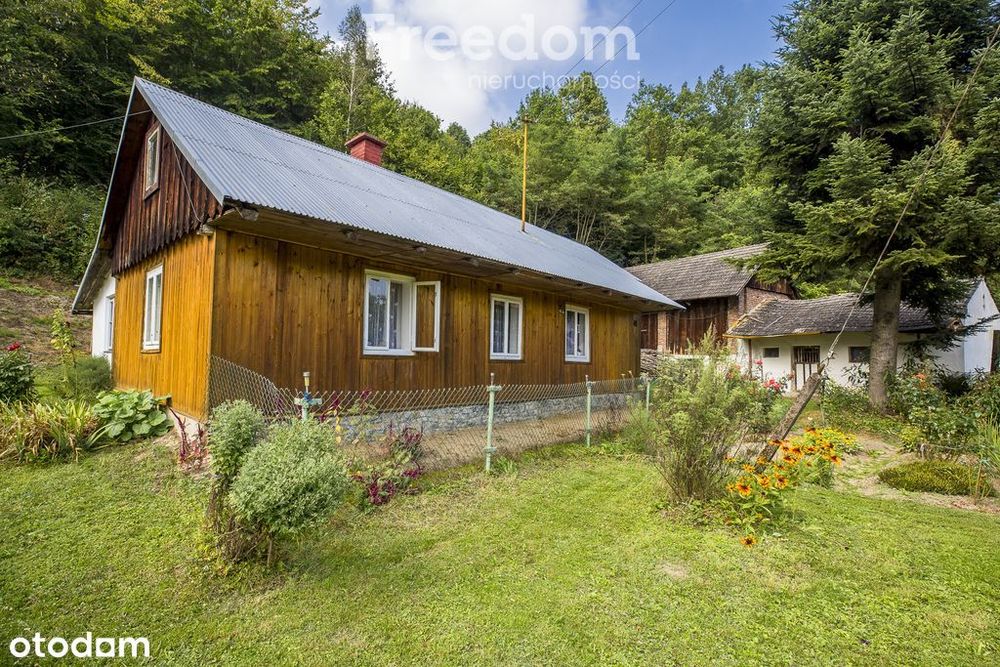 Siedlisko z dużą działką w Dubiecku