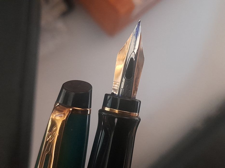 Canetas waterman Expert