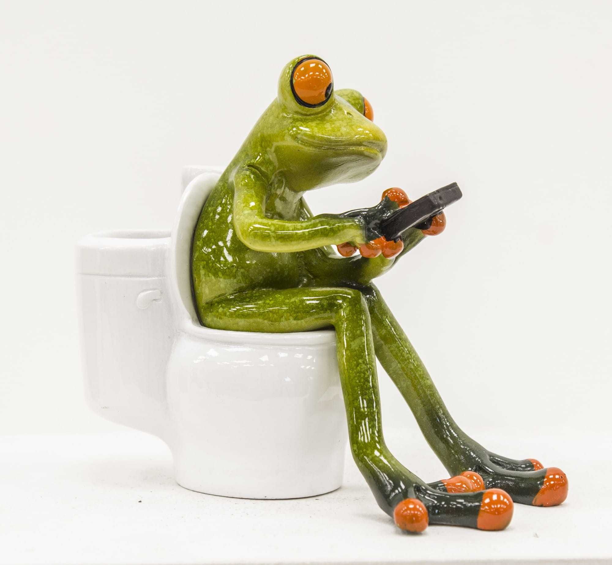 Figurka żaba ze smartfonem w toalecie