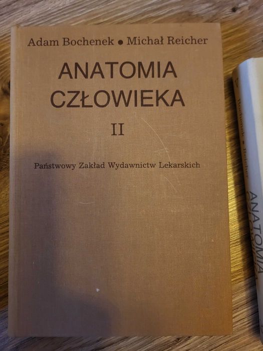 Bochenek Anatomia człowieka Ii
