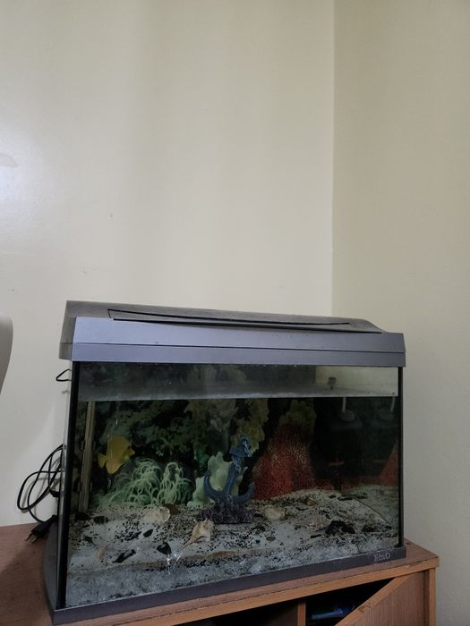 Vendo aquário completo