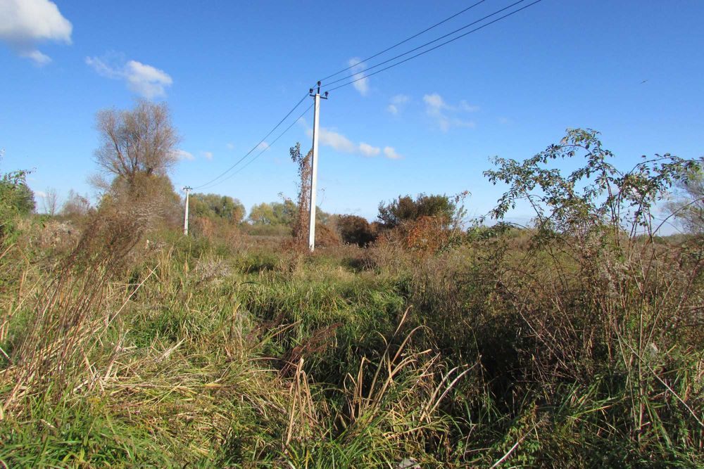 ПУХІВКА. Земельна ділянка 19 соток під забудову.