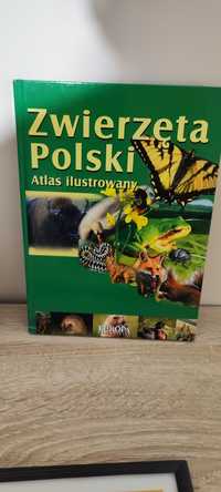 Zwierzęta Polski Atlas ilustrowany dla dzieci