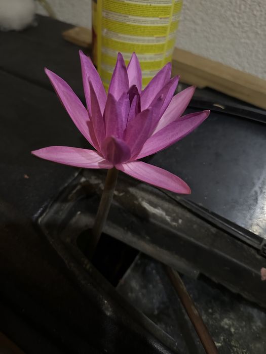 Akwarium 375l zestaw