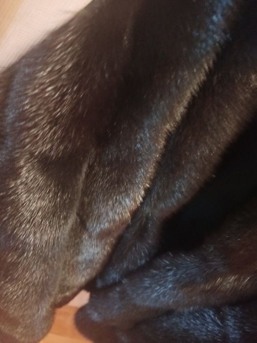 Продам шубу норка автоледи М