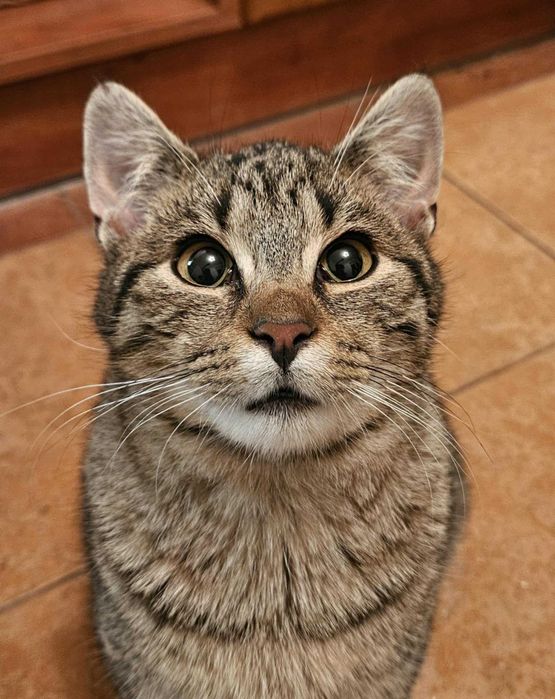 Pokochaj mnie, jestem cudowny Ares