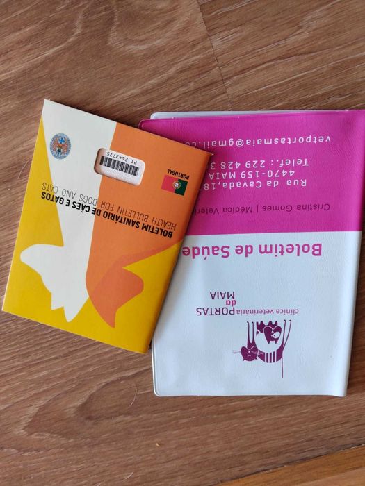 CADELA 09 MESES PARA ADOÇÃO