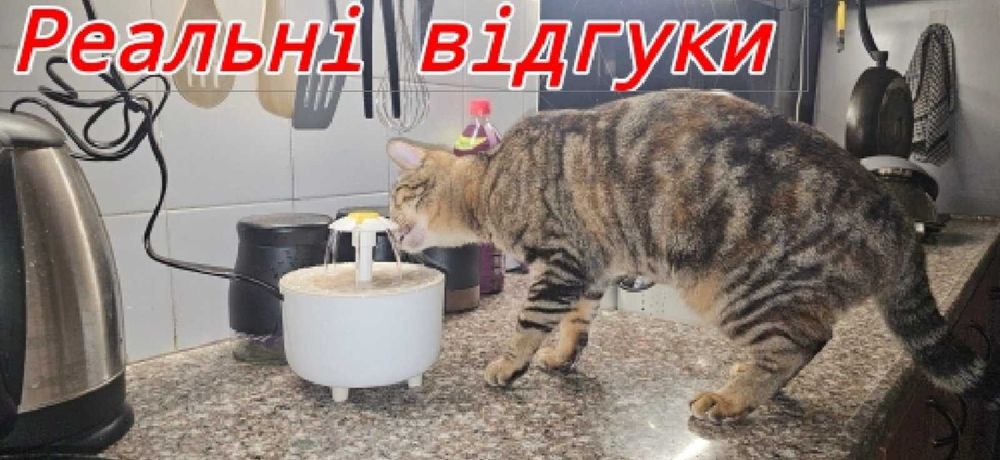 Фонтан - поїлка для тварин з датчиком руху | Smart економія енергії