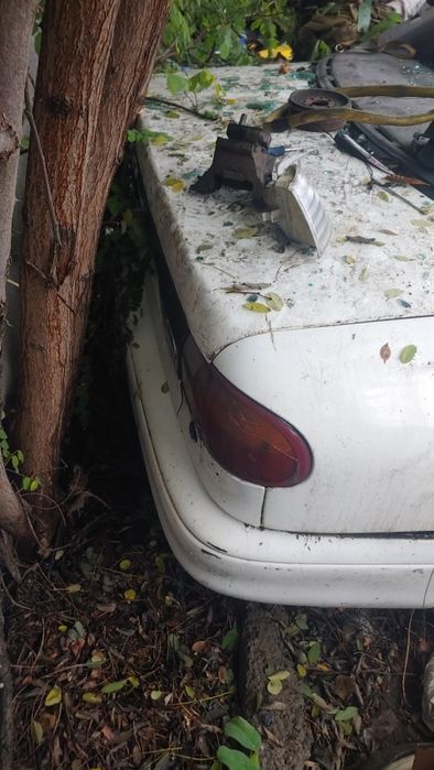 Ford Mondeo дизель 1.8 TDI 1994 года