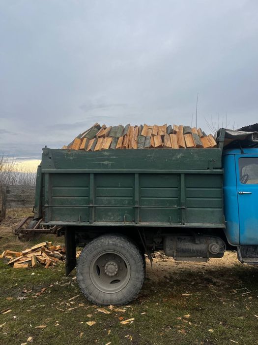 Продам дрова різних порід