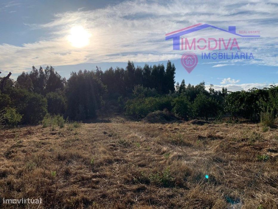 Terreno rústico de pinhal e mato em Vila Facaia